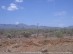 Desierto Sonora